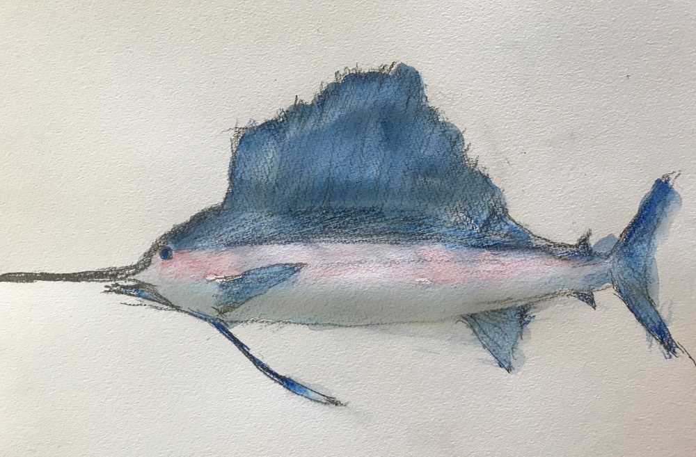 Kenji Shimizu Office　総合